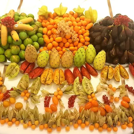 Bristol ליגננו סביאדורו